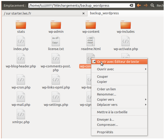 wp-config