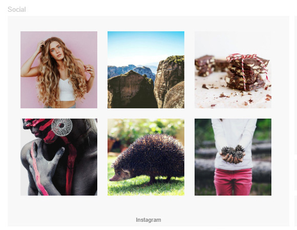 Module Social-1 SiteBuilder Pro
