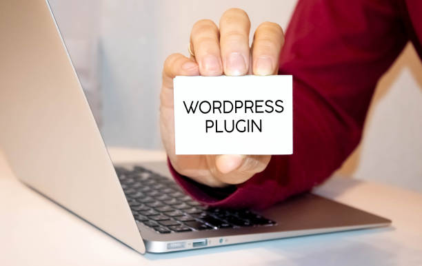 supprimer les plugins et les thèmes