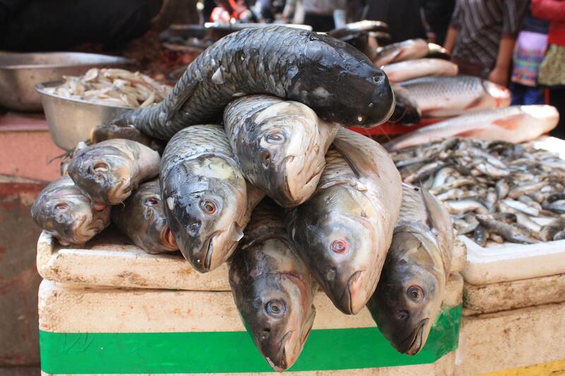 poissonnerie