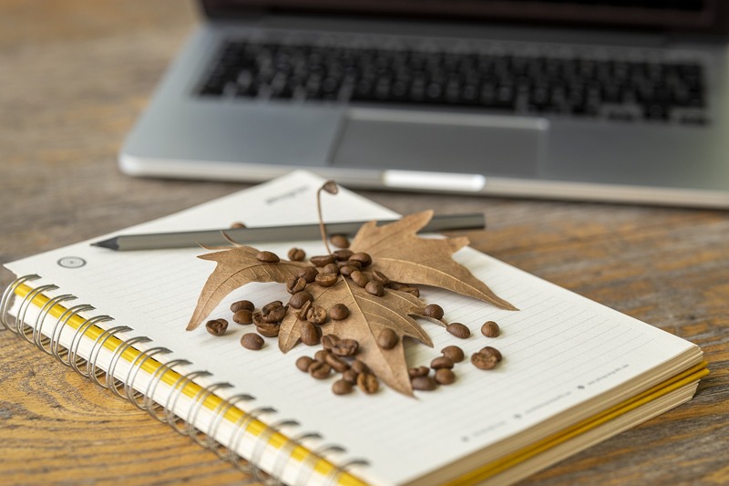 campagnes marketing en automne
