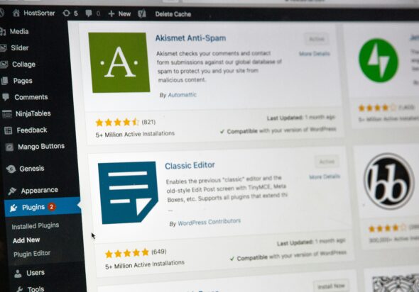 L'importance des plugins SEO WordPress