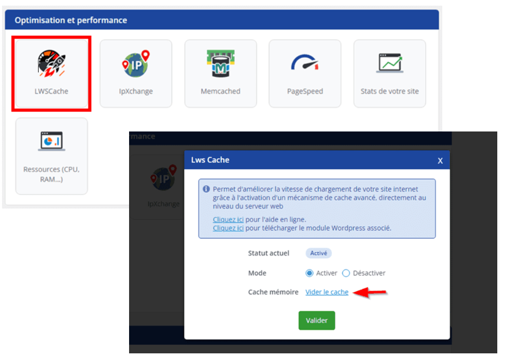 Vider le cache de WordPress – exemple pour le panneau de contrôle chez LWS Vider le cache de WordPress – exemple pour le panneau de contrôle chez LWS