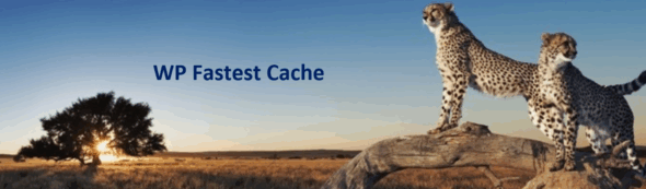 Vider le cache de WordPress avec un plugin comme WP Fastest Cache Vider le cache de WordPress avec un plugin comme WP Fastest Cache