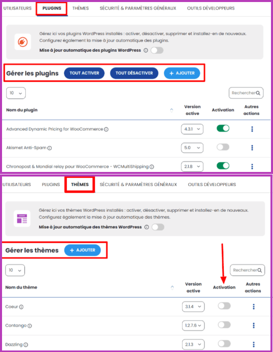 Gérer efficacement vos thèmes et plugins depuis WP Manager